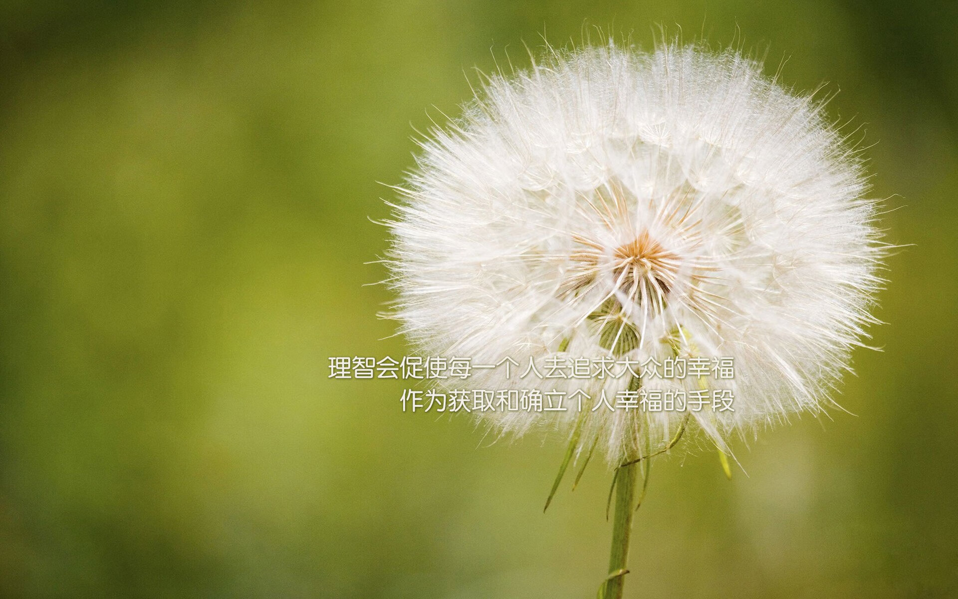 体育赛事观众满意度提升策略，体育比赛观众