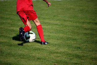 九游-篮球运动员心理韧性培养及心理干预体系建设，篮球运动员心理素质的重要性