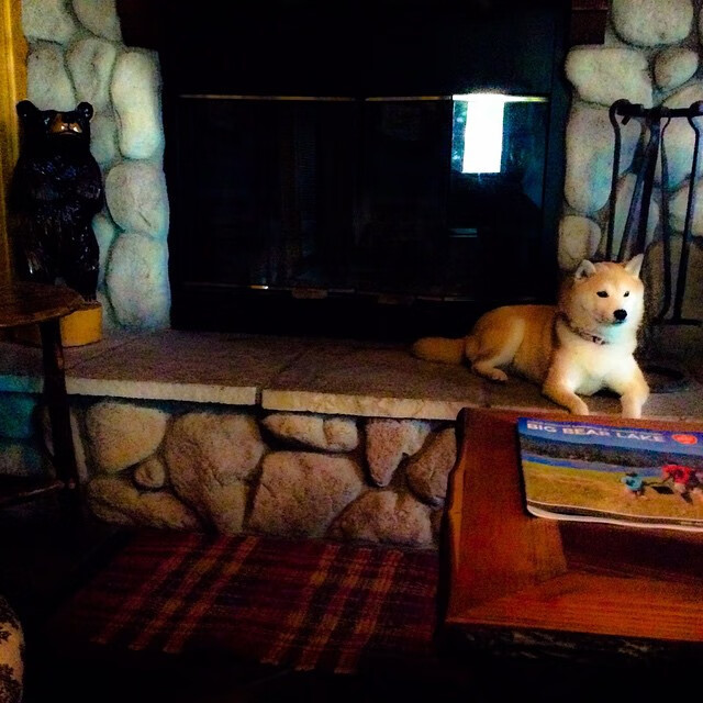 九游社区-中场菱形布局压制对手传控，菱形中场352