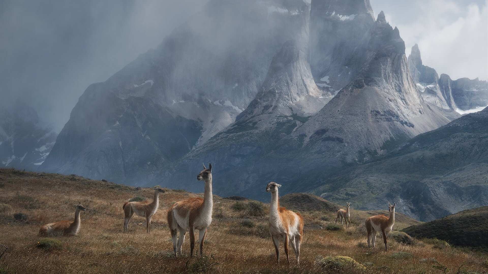 亚特兰大高强度压迫赢得场上主动，亚特兰大进攻太强了