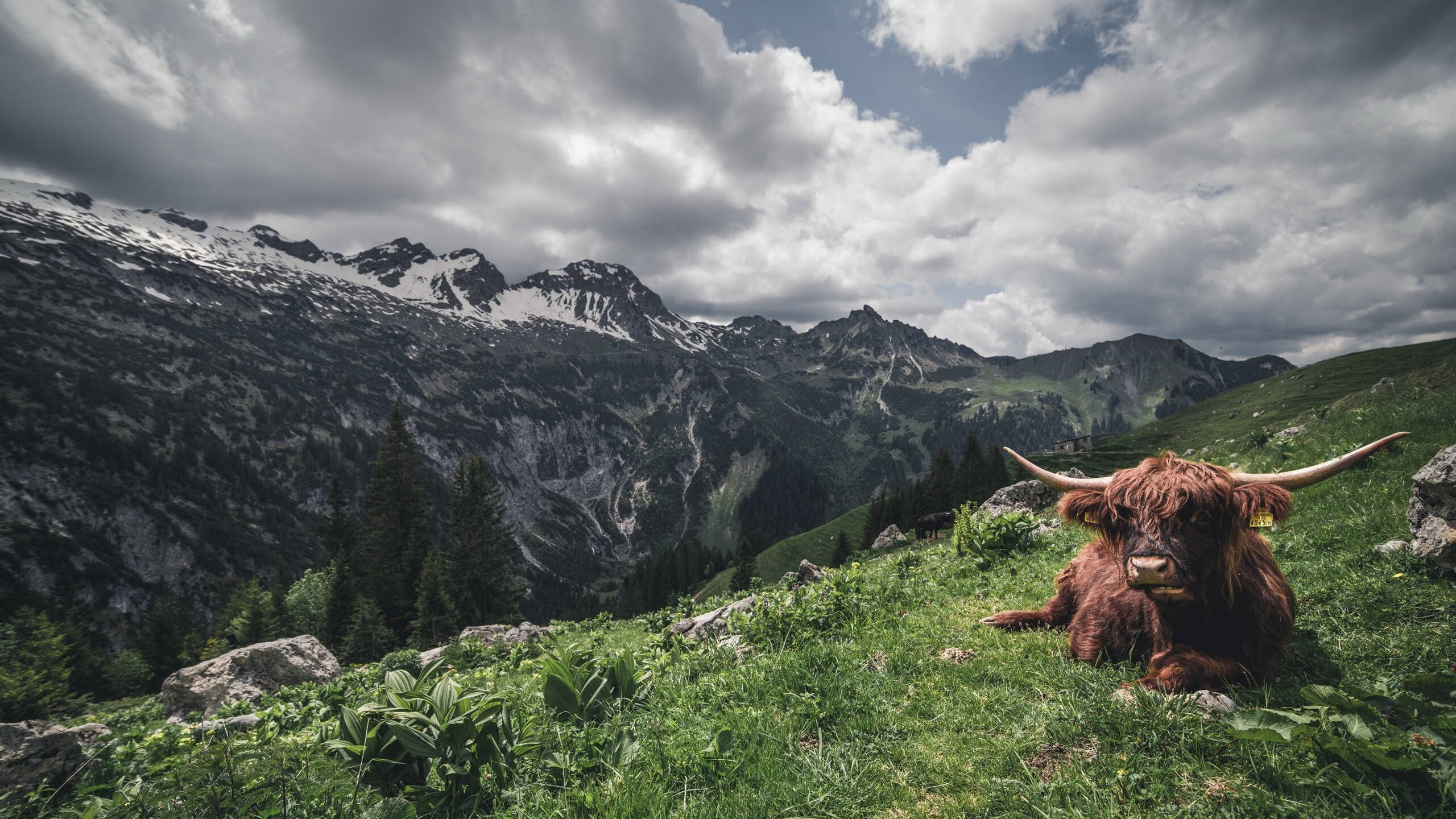 九游游戏中心-职业联赛整体节奏偏慢问题突出，职业联赛定义