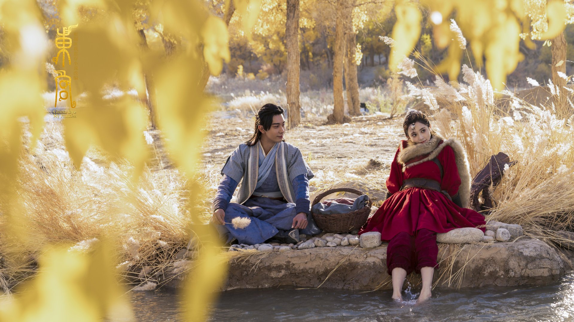 辽宁飞豹加强投篮训练提高命中稳定性，辽宁飞豹篮球俱乐部球员