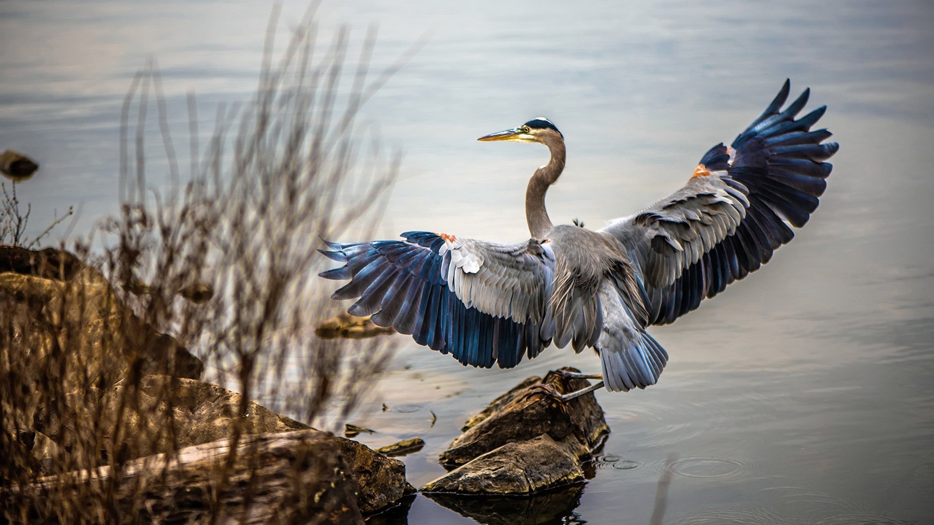 乌克兰男篮在欧洲预赛中奋勇拼搏，期待未来突破