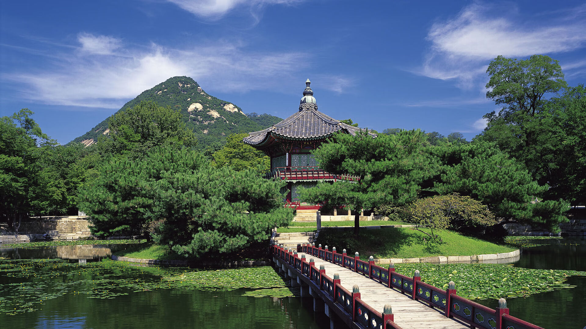 体育媒体新技术应用探讨，新媒体新技术体育课