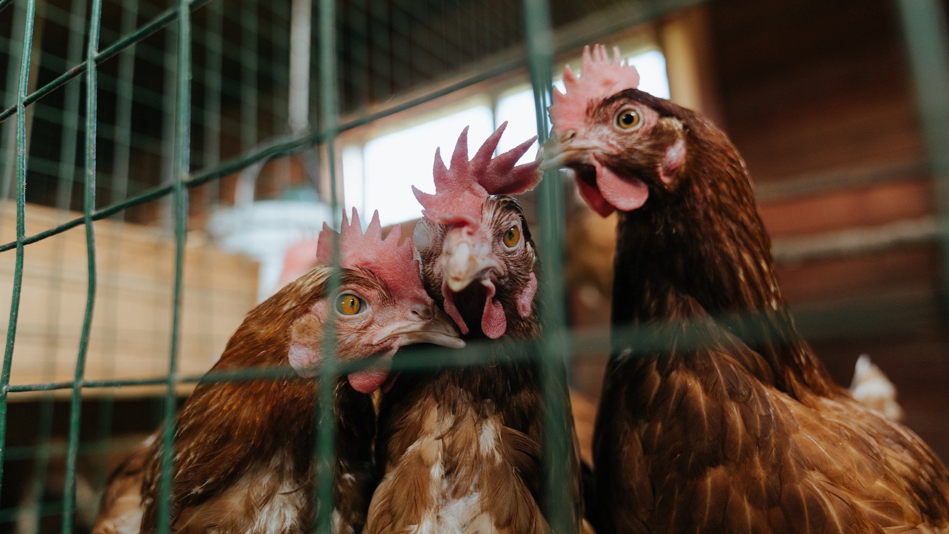 体育新闻中心发布体教融合课程实验学校调研报告，学校体教融合实施方案