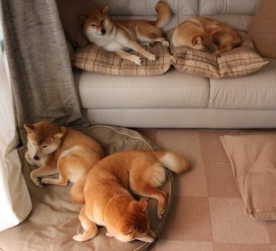 九游网页版官网入口-国家队技战术安排强调球员多位置适应能力提升整体灵活性，国家队的水平