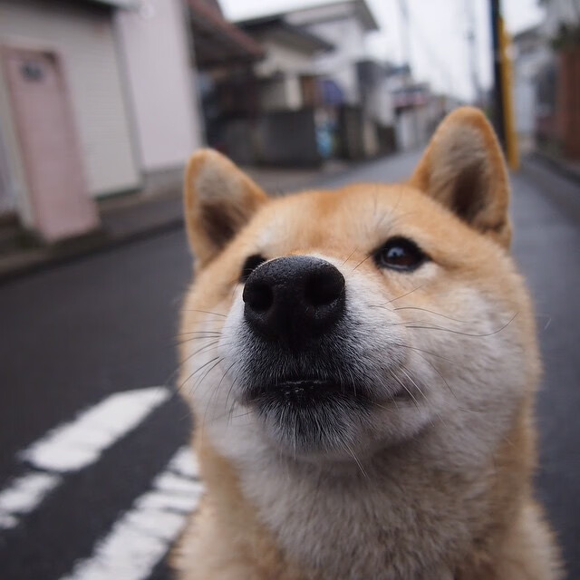 女子篮球加大青训比重储备未来国家队力量，女子篮球队训练方法